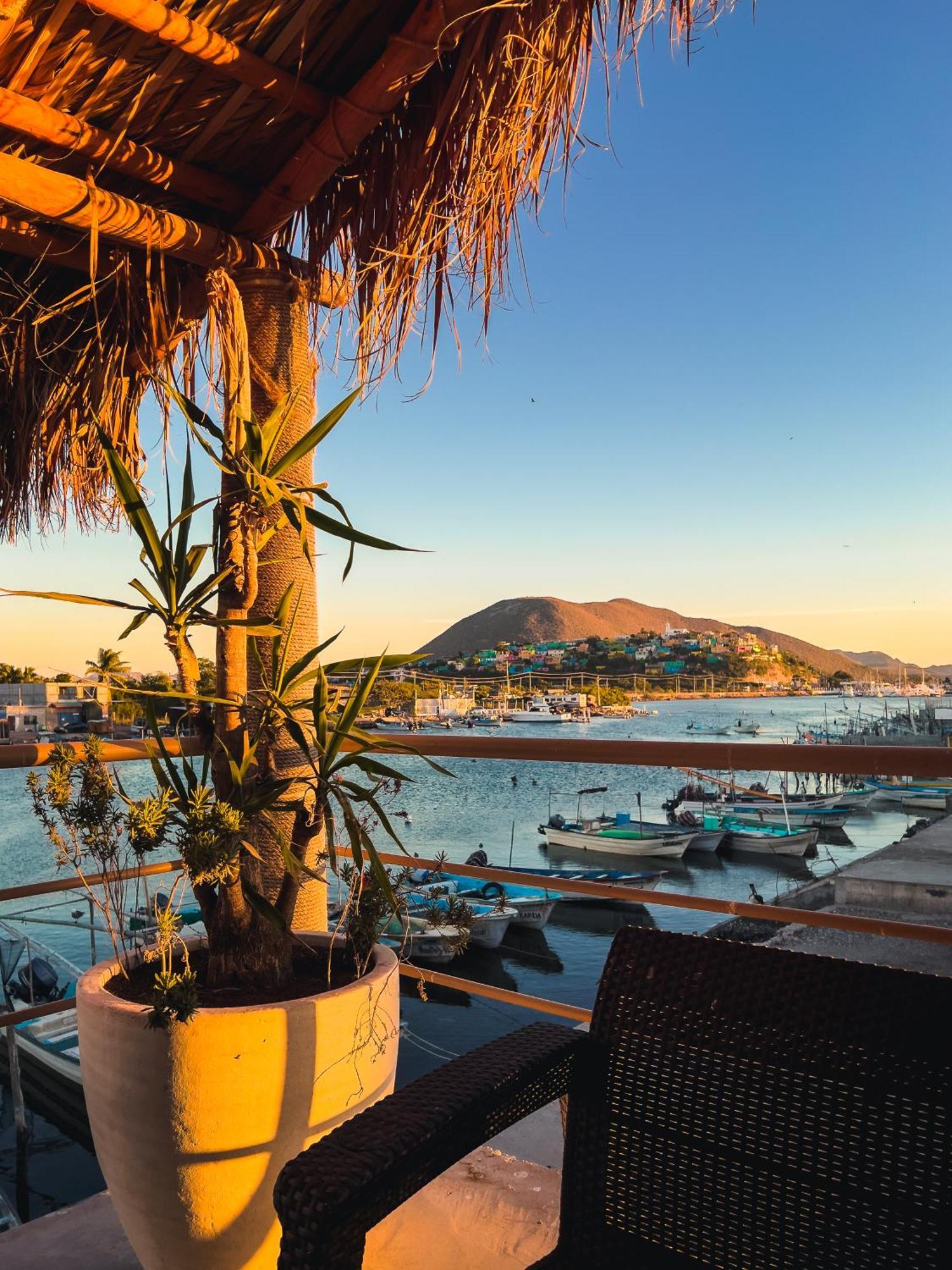 Sealion Dive Center Hotel Topolobampo Buitenkant foto